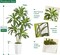 6FT Artificial Dracaena Silk Tree with White Planter - Real Touch Fake Plant for Home & Office Decor, Faux Yucca Indoor Floor Tree